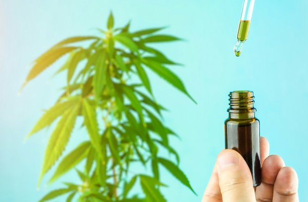 Cbd magasin : comment garantir la qualité des produits ?