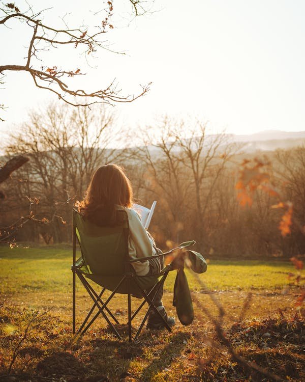 Les meilleures ressources pour apprendre la sylvothérapie